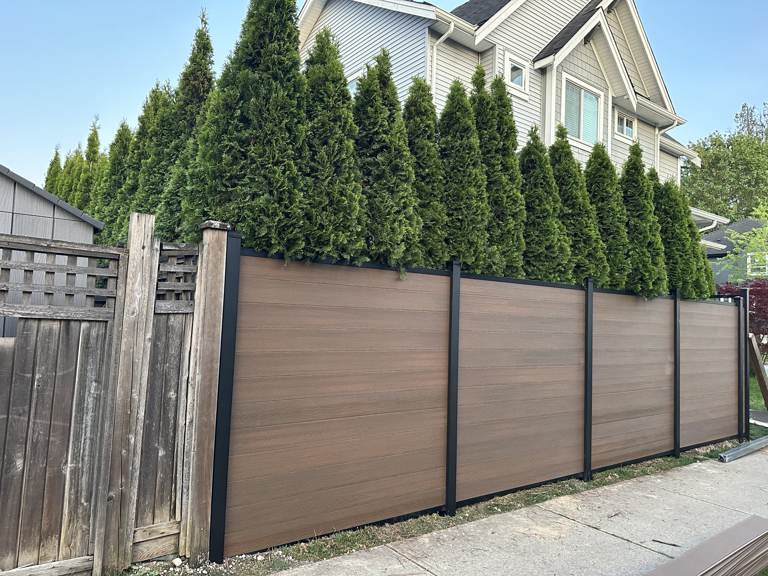 Yellow-toned composite fence replacement in Metro Vancouver showing old wood fence beside new privacy panels